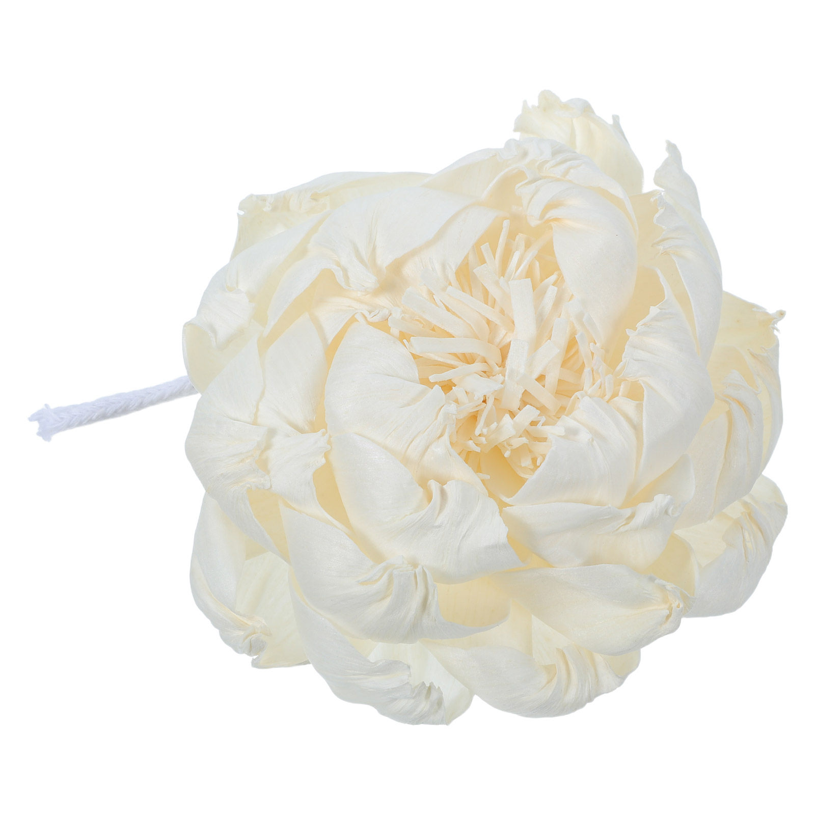 Pfingstrosenkopf-Duftdiffusor  – Home Fragrance Oils Bewertung und Preis